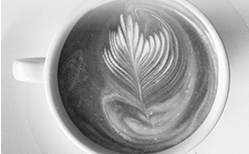 earth cafe